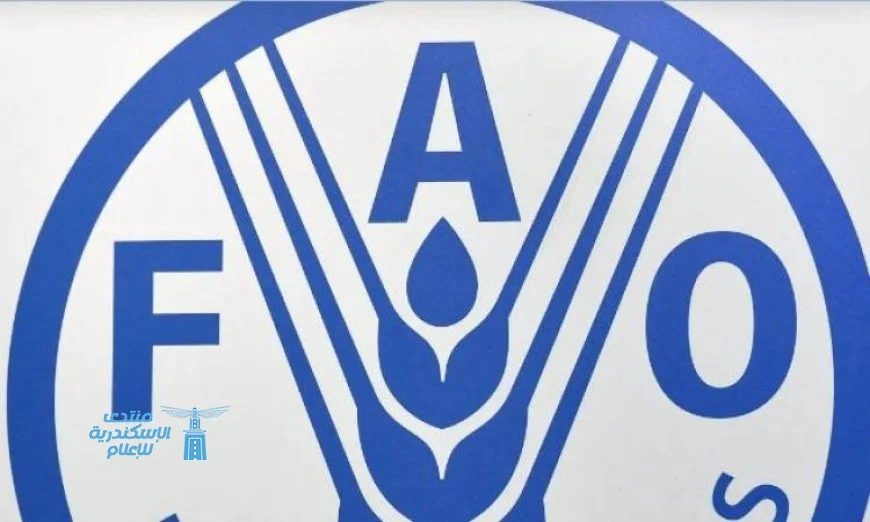 تقرير الفاو يكشف تضرر 87% من الأراضي الزراعية في غزة