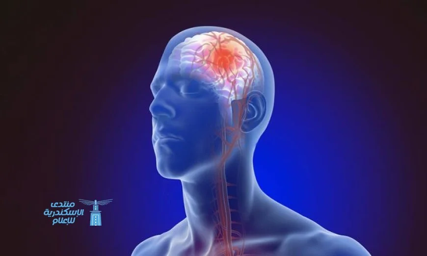 بال视频: المؤسسة العلاجية تكشف عن خطة شاملة لضمان الشفاء التام من السكتة الدماغية