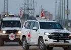 الصليب الأحمر يستعيد رفات إسرائيلي محتجز لدى حماس في غزة