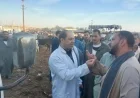 الزراعة تعزز جهودها في مراقبة أسواق الماشية لضمان استقرار الوضع الوبائي