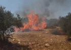 مستوطنون يشعلون النيران في منزل بقرية أبو فلاح شمال شرق رام الله