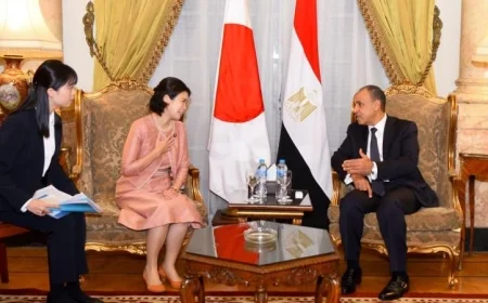 صور وزير الخارجية يعبر عن امتنانه للدعم الياباني للمتحف المصري الكبير