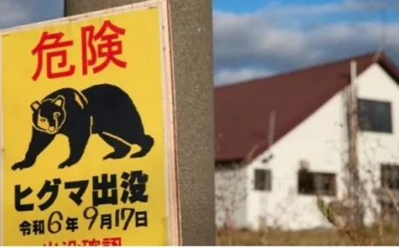 سكان منطقة يابانية يلجؤون إلى الجيش لمواجهة هجمات الدببة المتزايدة