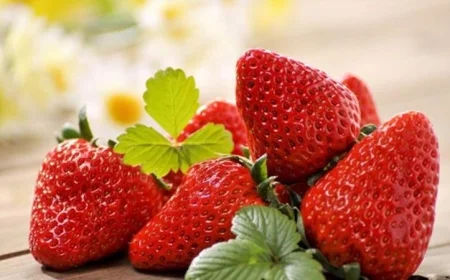 خبير يكشف عن أسوأ فاكهة يجب تجنبها رغم فوائدها المذهلة