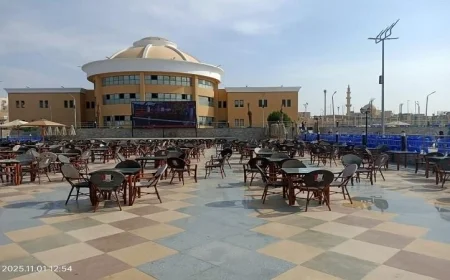 القليوبية تتهيأ لإطلاق احتفالات افتتاح المتحف المصري الكبير