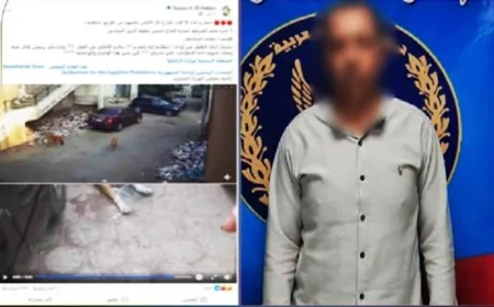 ضبط متهم بتسميم الكلاب الضالة في شوارع القاهرة باستخدام طعام مسموم