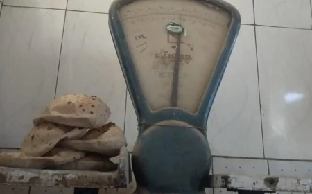 محافظ القليوبية يكشف عن ضبط 76 مخالفة خلال حملات تموينية شاملة