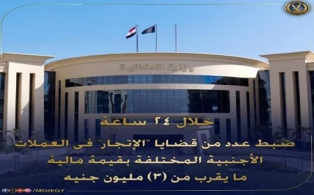 الداخلية تحقق إنجازًا حاسمًا بضبط قضايا إتجار غير مشروع بالنقد الأجنبي تصل قيمتها إلى 3 ملايين جنيه