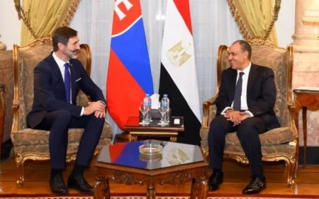 مصر وسلوفاكيا تعززان التعاون الاقتصادي والتجاري من خلال العمل المشترك