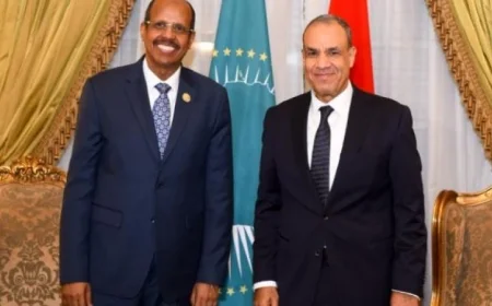 وزير الخارجية المصري يعرب عن دعم مصر لجهود الاتحاد الأفريقي في حل النزاعات الأفريقية