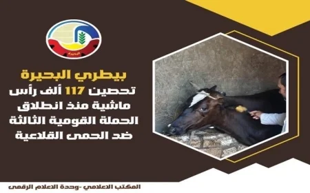 انطلاق الحملة القومية الثالثة لتحصين المواشي ضد الحمى القلاعية وحمى الوادي المتصدع في محافظة البحيرة