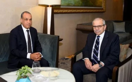 وزير الخارجية يعبر عن سعادته بتطور العلاقات المصرية اللبنانية