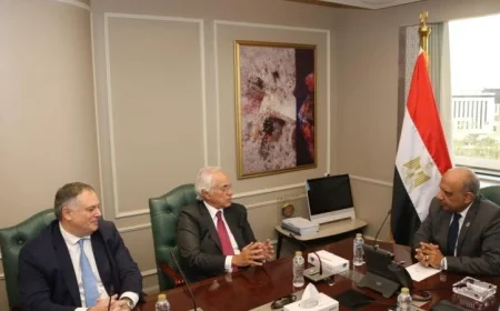 وزير الكهرباء يناقش مستجدات مشروع الربط الكهربائي بين مصر واليونان