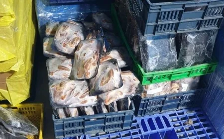 ضبط أكثر من 8 أطنان من الدواجن والأسماك المجمدة المنتهية الصلاحية في محافظة الشرقية