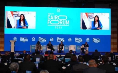 وزيرة التخطيط تؤكد أن مصر تطمح للتحول إلى نموذج اقتصادي مبتكر يقوده القطاع الخاص