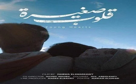 مصر تحقق نجاحات مبهرة في الدورة الثانية من مهرجان FS-film للأفلام القصيرة جدا