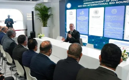 مصر تطلق مزايدة عالمية للبحث عن البترول والغاز في 4 مناطق جديدة بالبحر الأحمر