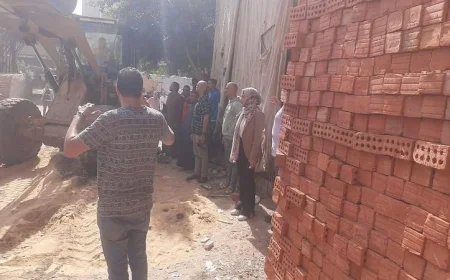 محافظ القليوبية يرصد جهود إزالة التعديات والمخالفات في قرية القلج