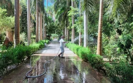 استكشف 820 نوعا نادرا من النباتات في جزيرة خضراء بأسوان تنتظر السائحين