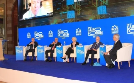 مصر تستثمر الفرص رغم التحديات الاقتصادية العالمية وفقاً للجوسقي