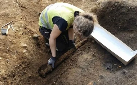 اكتشاف سيف حديدي يعود للقرن السابع في مقبرة محارب مجري ancient sword discovered in a 7th-century warrior grave in Hungary