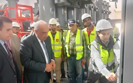 محمود عصمت يكشف عن تكلفة نقل الكهرباء لأعمال التنمية الزراعية تصل إلى 60 مليار جنيه