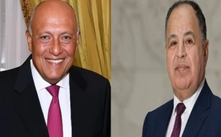 اليابان تكرم سامح شكري ومحمد معيط بمنحهم وسام الشمس المشرقة تقديراً لإسهاماتهما البارزة