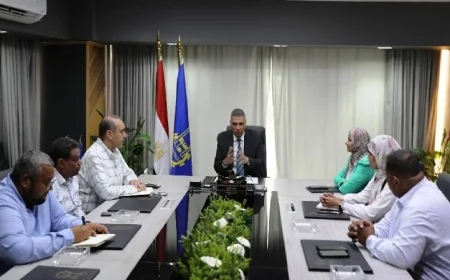 محافظ أسوان يوجه بتسريع إنجاز مشروعات مبادرة حياة كريمة لتحسين مستوى المعيشة