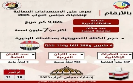 جولة ميدانية لرصد مقار اللجان الانتخابية في البحيرة قبيل انتخابات مجلس النواب