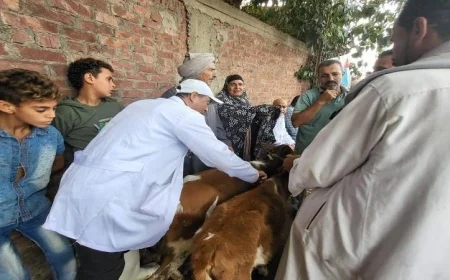 محافظ القليوبية يتفقد سير الحملة القومية لتحصين الثروة الحيوانية لتعزيز صحة الماشية