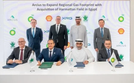 أركيوس تعزز حضورها في قطاع الغاز المصري بفتح استثمارات جديدة في حقل هارماتان