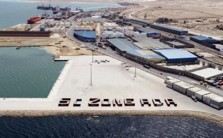 منح شركة ترانسكارجو إنترناشيونال أول رخصة جمركية كمركز توزيع في موانئ مصر