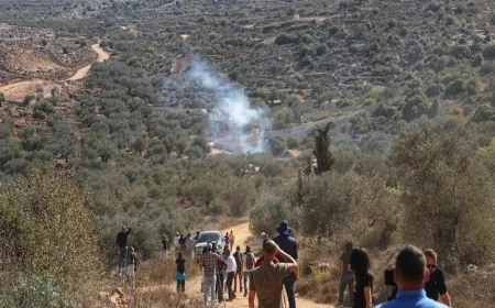 مستوطنون إسرائيليون يعتدون على قاطفي الزيتون في عقربا جنوب نابلس