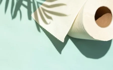 مناديل البامبو ليست الخيار البيئي المثالي كما تظن الفحم الصيني يكشف الحقيقة المروعة