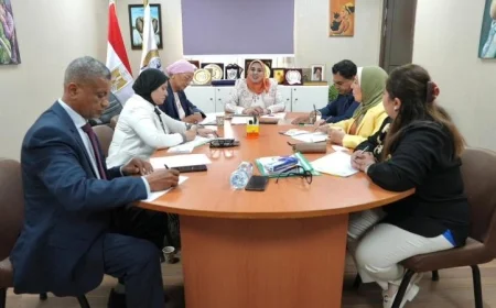 القومي للمرأة ينظم اجتماعا هاما للتنسيق استعدادا لانتخابات مجلس النواب 2025
