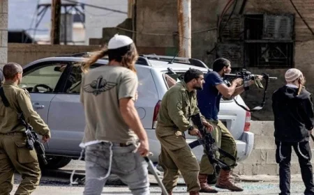 مسئول أممي ينبه من زيادة عنف المستوطنين الإسرائيليين ضد الفلسطينيين في الضفة الغربية