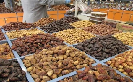 المهرجان الدولي الثامن للتمور المصرية ينطلق في الواحات البحرية بأجواء احتفالية مميزة