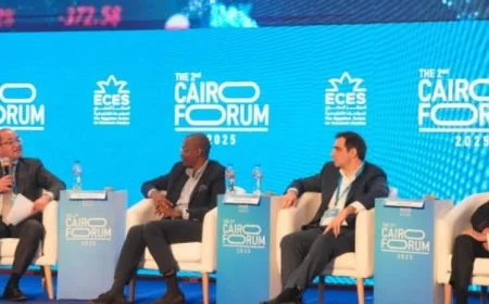 وزير المالية يؤكد تفاؤله بمستقبل الاقتصاد المصري ويشيد بجاذبية البلاد للشراكات الدولية