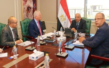 وزير الكهرباء يناقش مشروع الطاقات المتجددة مع تحالف رينيرجي جروب بارتنرز