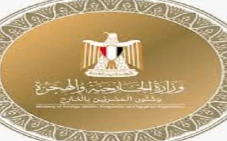 الخارجية المصرية تؤكد جاهزية البعثات في الخارج للانتخابات النيابية القادمة