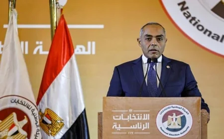 بنداري يؤكد سير انتخابات النواب بالخارج وفق خطة دقيقة بين الهيئة ووزارة الخارجية