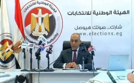 انطلاق المرحلة الأولى من انتخابات النواب بتصويت المصريين في الخارج