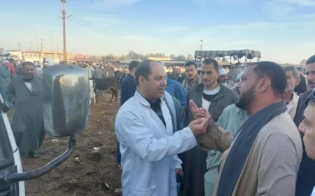 الزراعة تعزز جهودها في مراقبة أسواق الماشية لضمان استقرار الوضع الوبائي