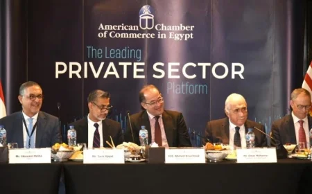 الحزمة الثانية من التسهيلات الضريبية تعلنها المالية في نوفمبر المقبل