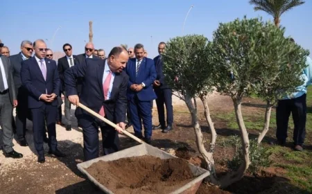 رئيس هيئة الرقابة المالية مع قيادات قطاع التأمين يزرعون الأشجار في شرم الشيخ لتعزيز البيئة