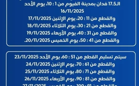 بدء تسليم قطع الأراضي السكنية للفائزين في مدينة الفيوم الجديدة الأحد المقبل