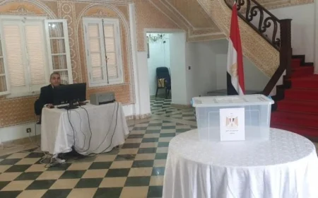 اليوم الثاني من تصويت المصريين في نيوزيلندا للانتخابات البرلمانية 2025