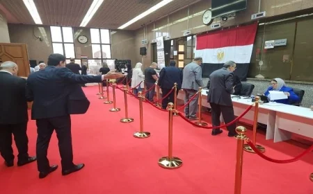 سفيرنا في النمسا يكشف عن سير العملية الانتخابية بسلاسة وتوقعات بنمو الإقبال على التصويت