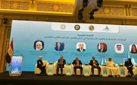 شيخون يكشف عن الفرص الاستثمارية والإصلاحات الاقتصادية في منطقة قناة السويس