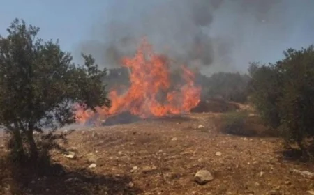 مستوطنون يشعلون النيران في منزل بقرية أبو فلاح شمال شرق رام الله